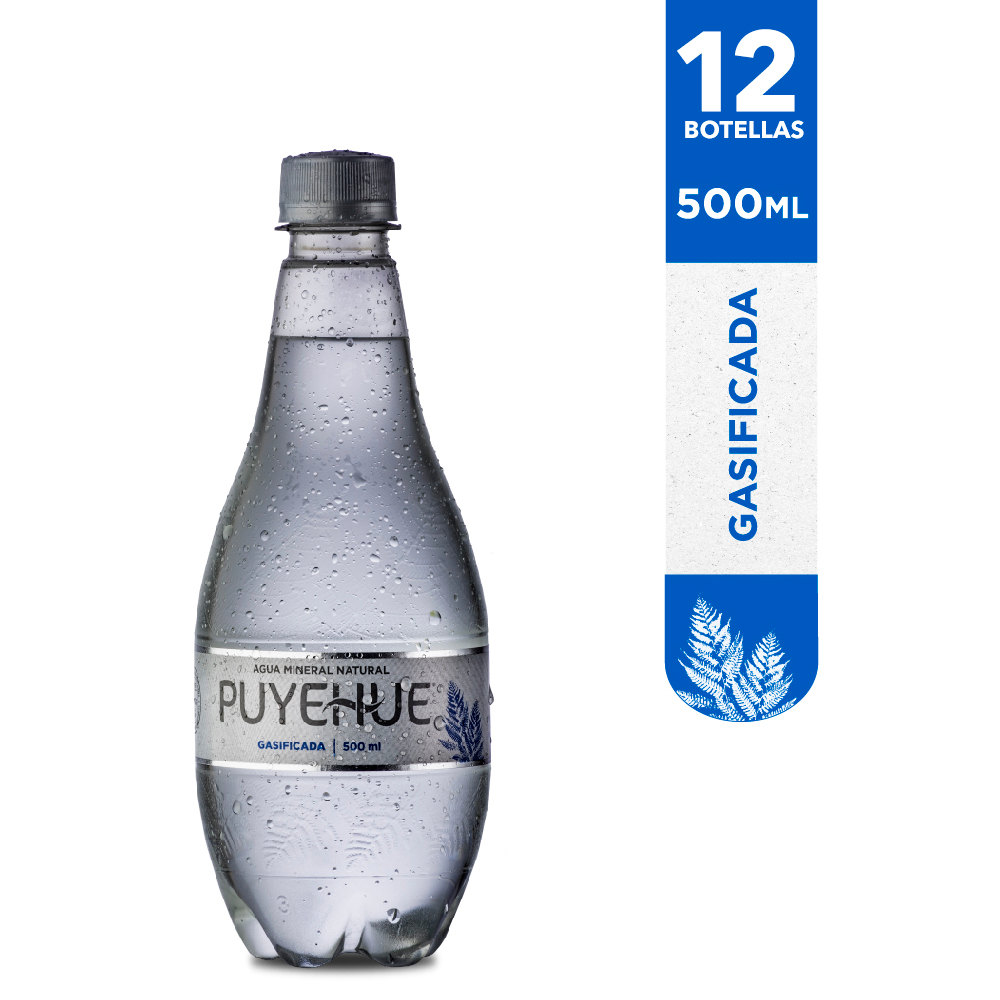 AGUA MINERAL CON GAS PUYEHUE PET