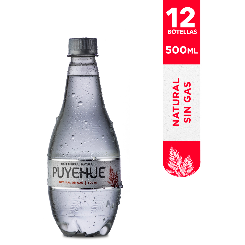 Agua Puyehue Sin Gas 500cc (12 unidades)