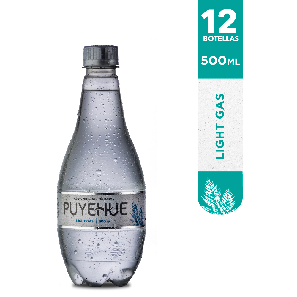Agua Mineral Light Con Gas 500cc Cachantún