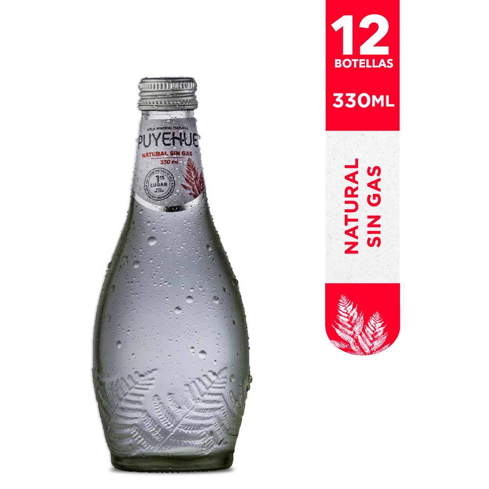 Agua Puyehue Sin Gas Vidrio 330cc (12 unidades)